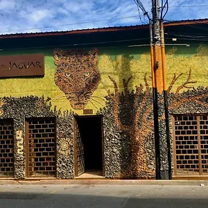 https://refugio-del-jaguar.colombiamedellinhotels.com
